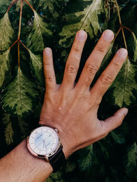High angle view of hand holding clock against plants