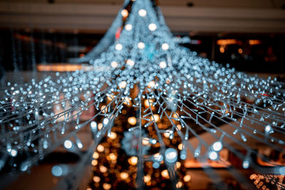 Aerial view of christmas tree at night