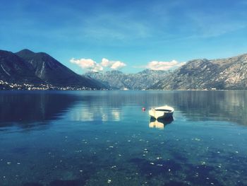 Swan swimming in lake against mountain range