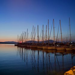 Sailboats in marina