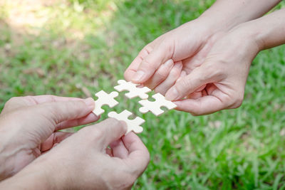 Close-up of woman hand holding plant