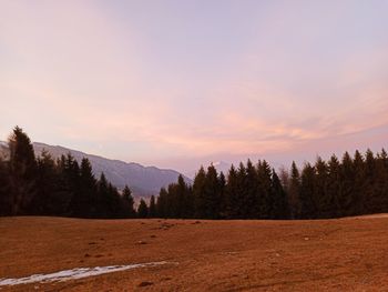 Scenic view of landscape against sky during sunset