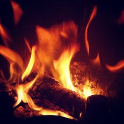Close-up of campfire at night
