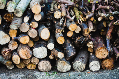 Full frame shot of logs in forest