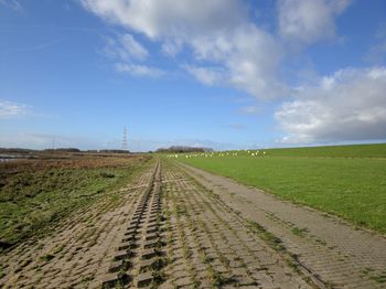 Scenic view of agricultural field against sky