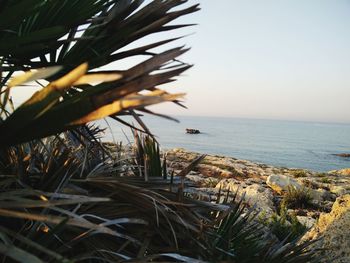 Scenic view of sea against clear sky