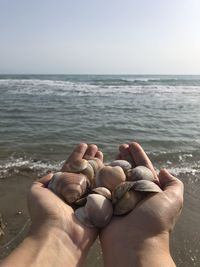 Seashells in palm extended towards the sea