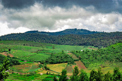 Scenic view of agricultural landscape against sky