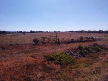 Scenic view of field against clear sky