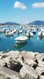 Boats moored in harbor