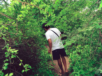 Rear view of young man standing by plants in forest