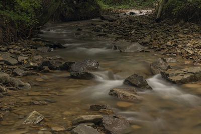 Scenic view of stream flowing through rocks in forest