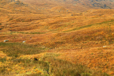 Scenic view of field and mountains during autumn