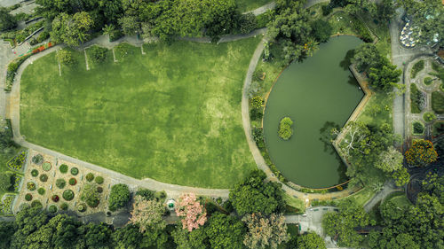 High angle view of plants by lake