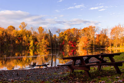Scenic view of lake by trees in park during autumn
