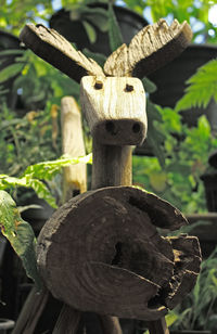 Close-up of plant against blurred background