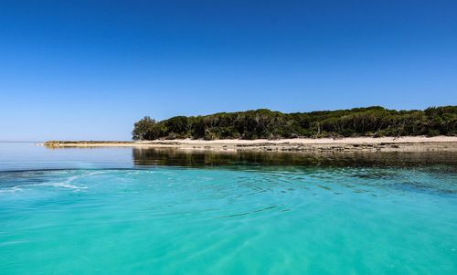 Scenic view of sea against clear blue sky