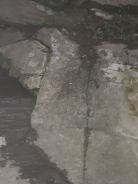 High angle view of water flowing through rocks