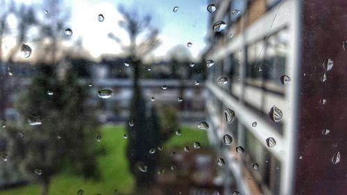 Close-up of water drops on glass