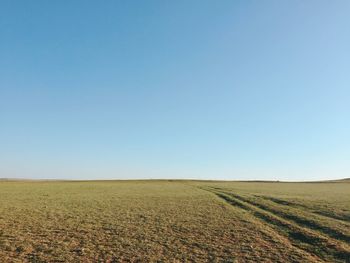 Scenic view of agricultural field against clear blue sky