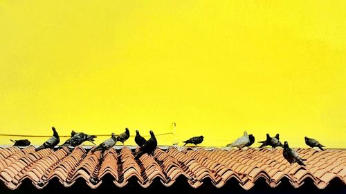 Low angle view of birds perching on roof against sky