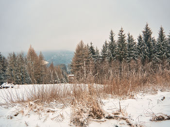 Snow covered field against sky