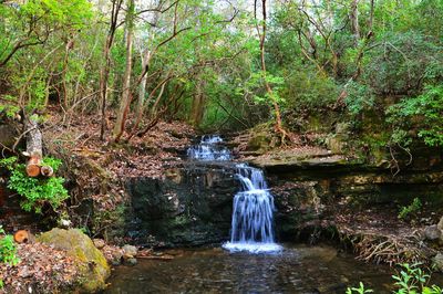 River flowing through rocks