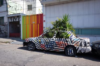 Green guerrilla in sao paolo