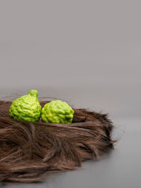 Close-up of vegetables against white background