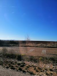 Scenic view of field against clear blue sky