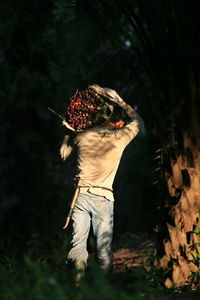 Rear view of man carrying oil palm fruits