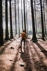 People on road amidst trees in forest