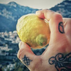 Close-up of person holding apple