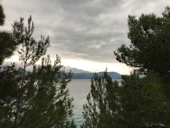 Scenic view of river amidst trees against sky