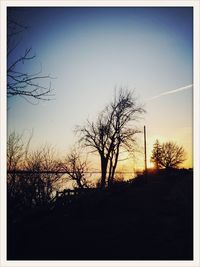 Silhouette of trees at sunset