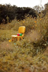 Yellow chair outdoors