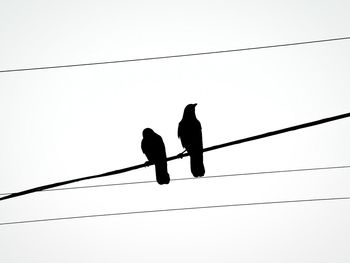 Low angle view of power lines