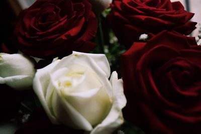 Close-up of rose bouquet