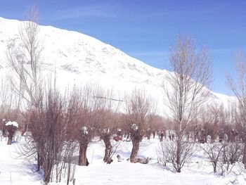 Bare trees on snow covered landscape against sky