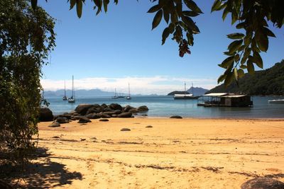 Scenic view of beach against clear blue sky