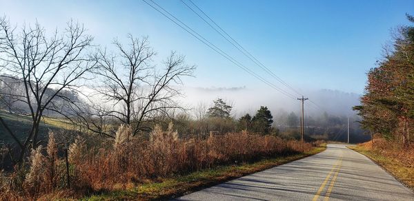 Road amidst plants and trees against sky