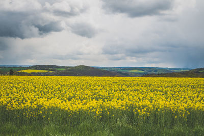 View of field against cloudy sky