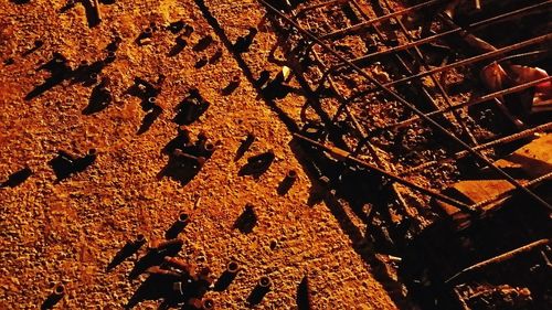 Low angle view of orange sky