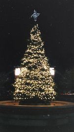 Illuminated christmas tree at night