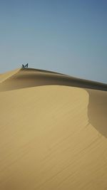 Scenic view of desert against clear sky