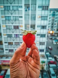 Midsection of man holding strawberry