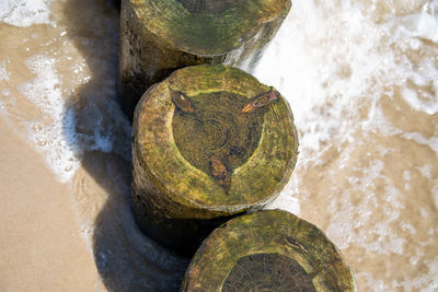 High angle view of rocks on shore