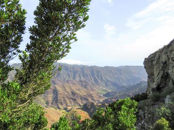 Scenic view of mountains