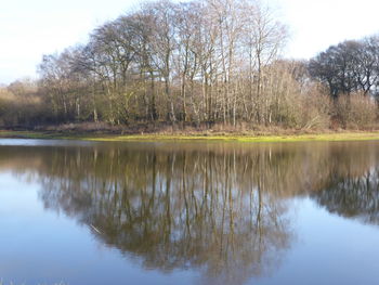 Reflection of trees in lake against sky