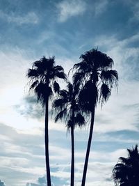 Low angle view of palm trees against sky